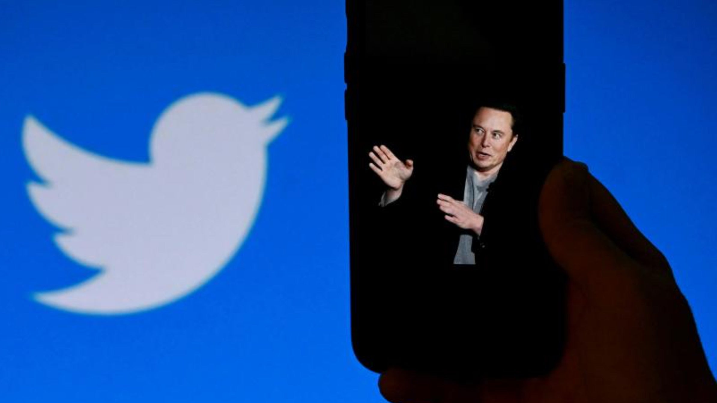 Elon Musk announces the reinstatement of suspended accounts on Twitter, Magnate Daily