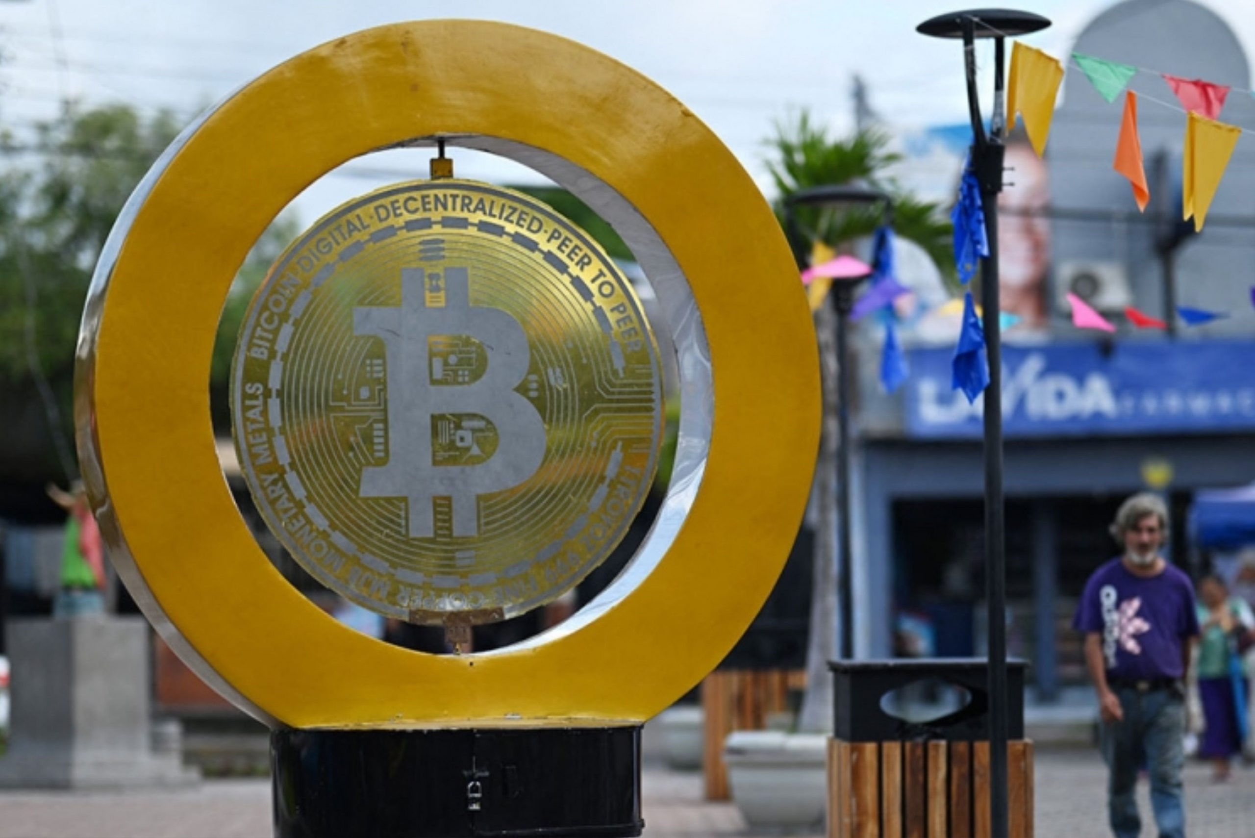 It’s now over $80,000: how the US election sent the price of Bitcoin soaring, Magnate Daily