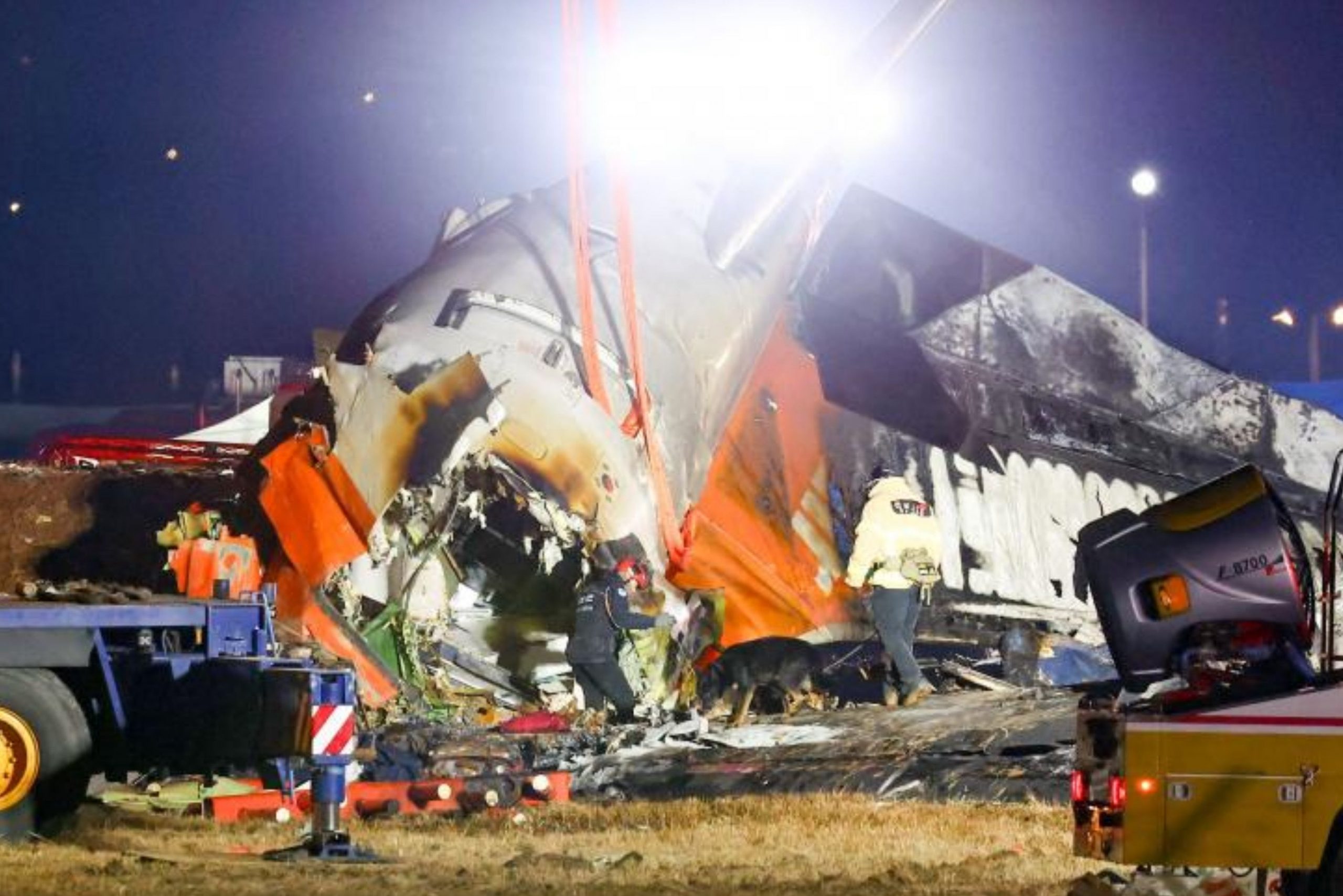Plane crash in South Korea kills 179: what we know about the circumstances of the tragedy, Magnate Daily