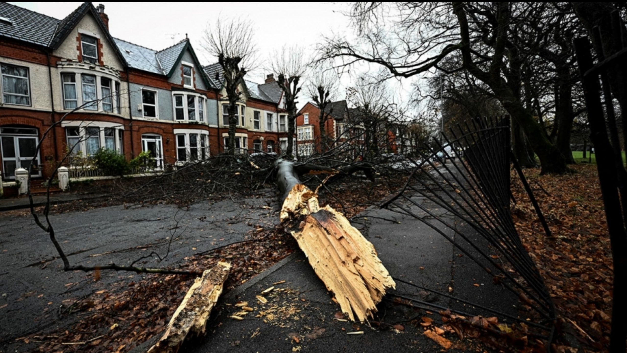 Power cuts, cancelled flights: Storm Darragh causes major damage in the UK, Magnate Daily