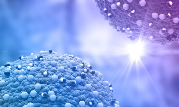 The Legal Challenges of Nanotechnology, Magnate Daily