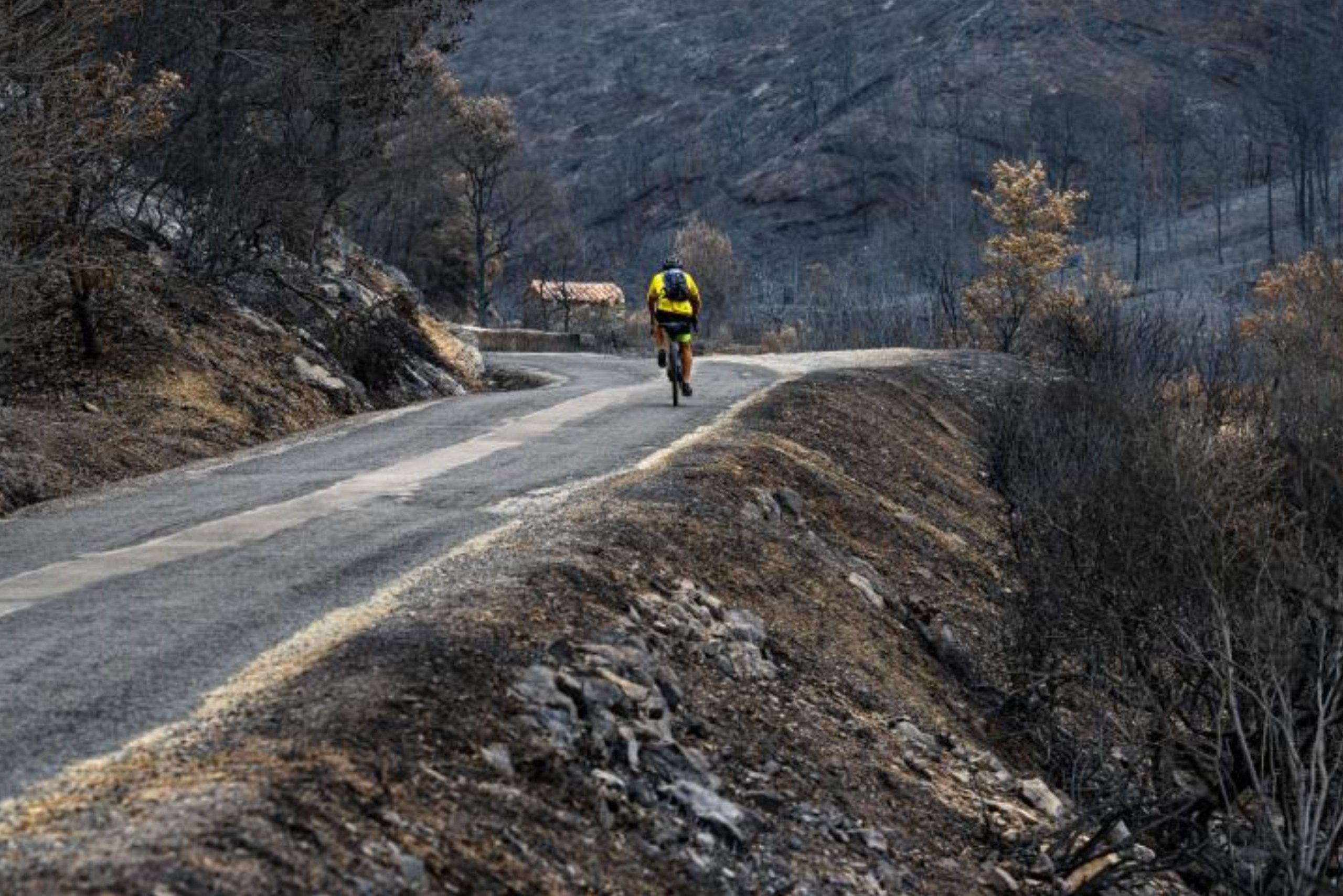 Record drought in Europe: more than half of soils affected, Magnate Daily