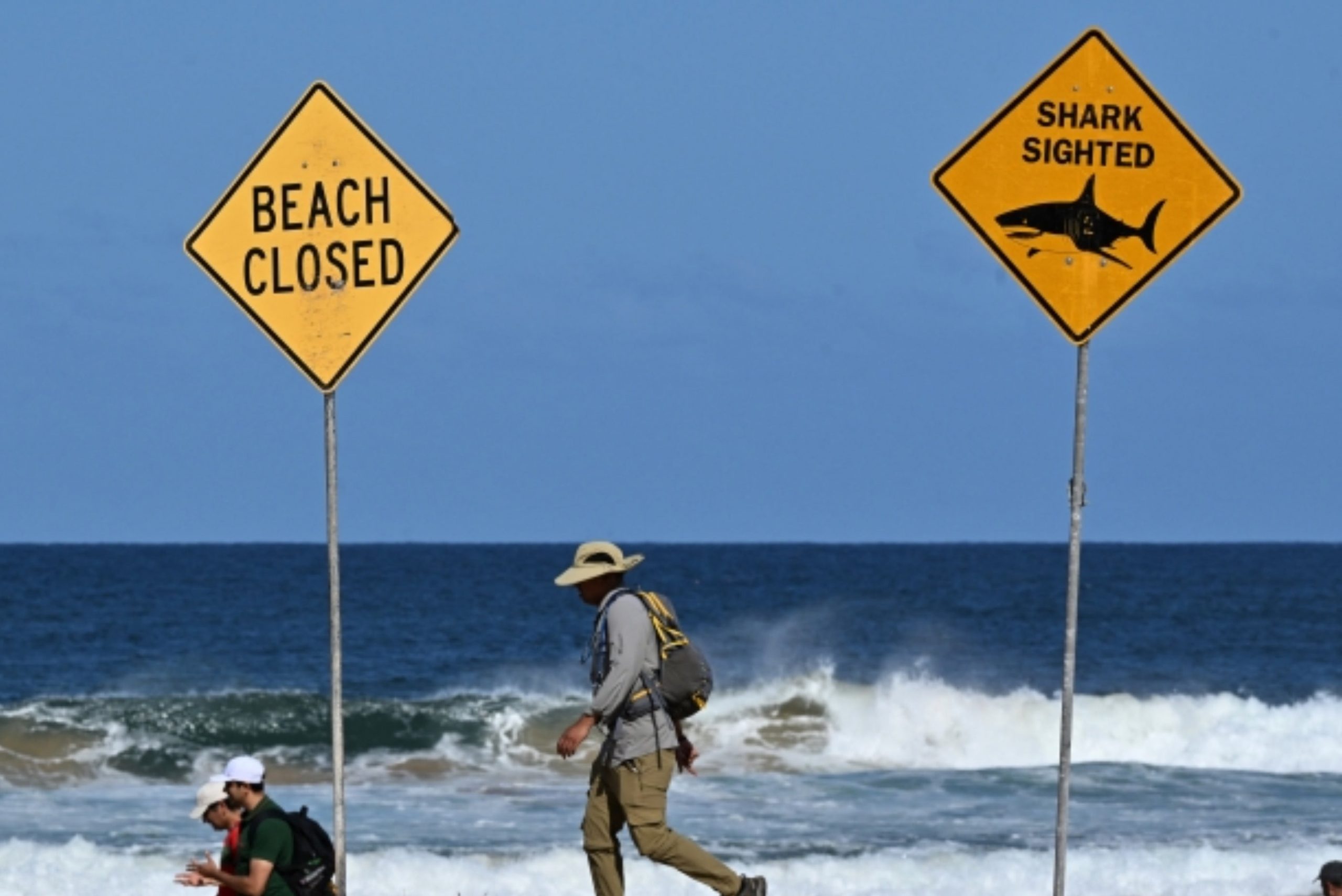Surfer dies after &ldquo;big shark&rdquo; attack on Australian beach, Magnate Daily